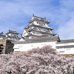 姬路城🌸可能係日本最靚嘅城堡