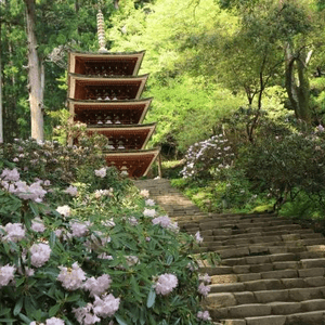 奈良的室生寺