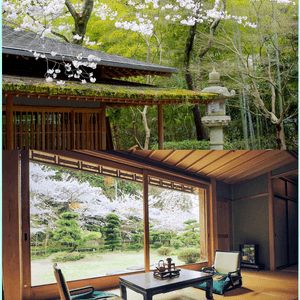 超大私家日式庭院,在家就能賞櫻花🌸🌸🌸🌸