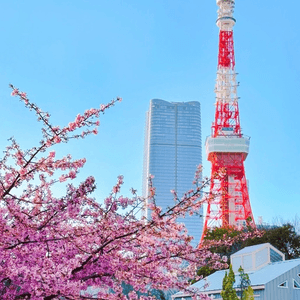 東京鐵塔之日