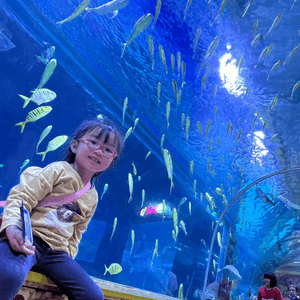 深圳超大型水族館，美人魚劇場
