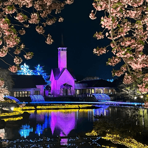 名古屋賞櫻花之旅