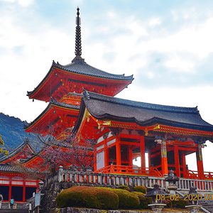 京都 清水寺🎏