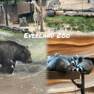 愛寶樂園動物園