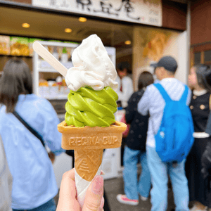 京都嵐山🇯🇵 必食反地心吸力豆腐雪糕🍦