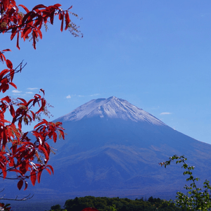 近距離欣賞富士山之美🗻