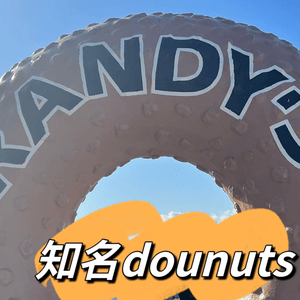 濟洲人氣donuts 店