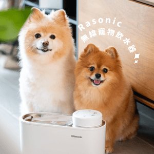 狗狗飲水神器 ｜ 全新推出RASONIC 無線寵物飲水器
