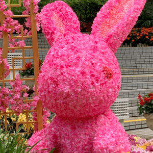 粉紅兔