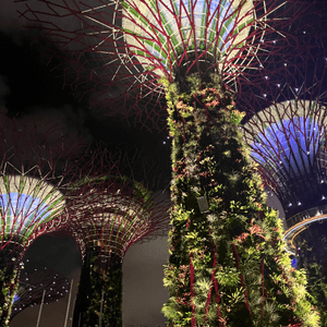 Singapore Gardens by the bay🌸🌼