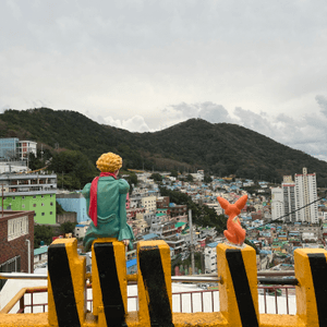 返老還童一日遊