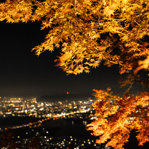 高松最美夜景 - 屋島全新展望台