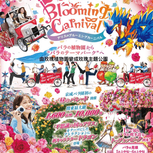 Alice Blooming Carnival @京成玫瑰園
