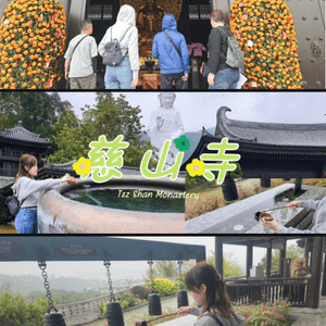 大埔「慈山寺」香港好去處！洗滌心靈之旅 