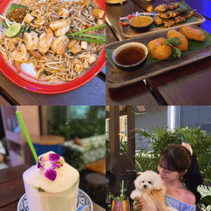 灣仔🐶chill爆寵物友善泰國菜餐廳