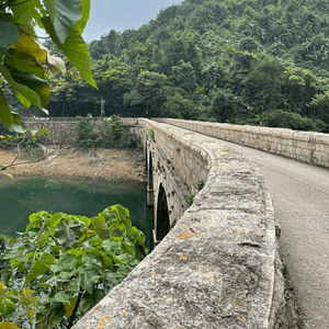 黃泥涌水塘 鳥鳴處處