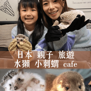 ｛日本親子遊推介｝HARRY 水獺🦦刺蝟 🦔兔仔cafe 
