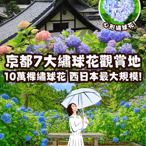 京都7大繡球花觀賞地😍10萬棵繡球花超震撼 西日本最大規模💙