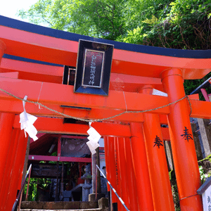 熊本景點推介⛩️熊本城白髭稻荷神社