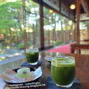 參觀傳統日本宅邸 💕 邊欣賞庭園美景 ☕️ 邊享用茶點