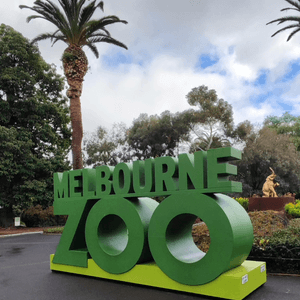 墨爾本動物園 Melbourne Zoo 