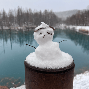 北海道看雪去