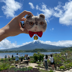 🇯🇵🗻富士山河口湖 大石公園