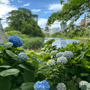 每次必訪～福岡大濠公園