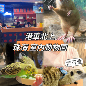 ｛港車北上去珠海｝室內動物園