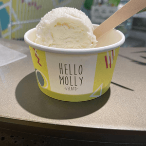 🍨Hello Molly Gelato🍨