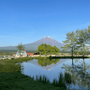 🇯🇵🗻無死角嘆富士山大草地