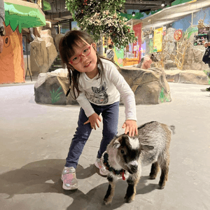 室內動物園| WOWOZOO窩窩萌寵樂園