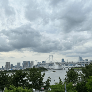 風景怡人的東京灣