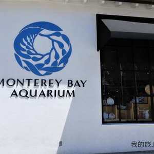 我去美國.Big Sur旅跑 - 參觀 Monterey Bay水族館