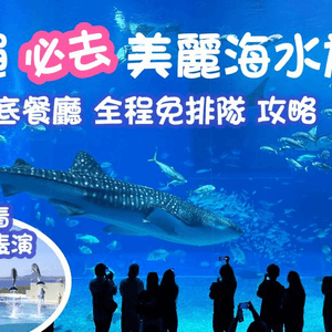 2023 沖繩之旅 Ep3 | 海洋博公園 美麗海水族館｜邂逅九米長鯨鯊 巨型魔鬼魚 免費海豚表演｜Okinawa Churaumi Aquarium