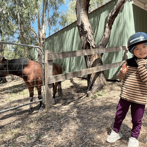 老六悅悅的首個騎術訓練🐴