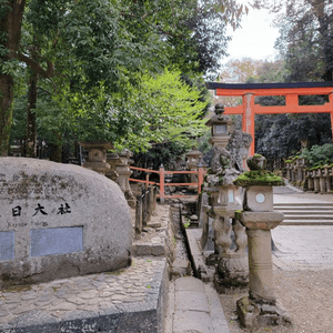 Day 17: 奈良齋睇冇餵鹿 又上另一座山