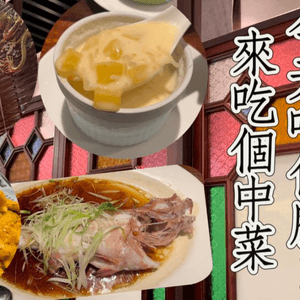 灣仔美食｜座位舒適中餐廳「鍾菜館」，超美味的每日現撈東星斑必點！