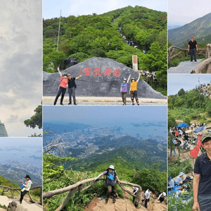 《深圳梧桐山👉秀桐道上：凌雲道落》天池、梧桐山(大梧桐)、好漢坡、十里杜鵑、蝴蝶谷、豆腐頭、深圳電視塔