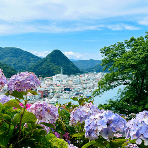 不能錯過的 — 下田繡球花祭