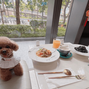 室內🐶友善餐廳@天水圍