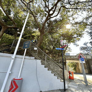 渣甸山一個半小時遠足｜欣賞維港兩岸景致｜踏足「懸空棧道」