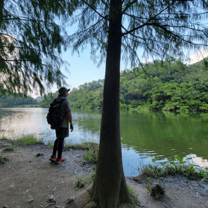 《 流水響水塘 Lau Shui Heung Reservoir 🏞 》✿ 天空之鏡 ☁️☁️ ✿ 落羽杉 🌿🌿 白千層樹林🌲🌲『香港好去處』