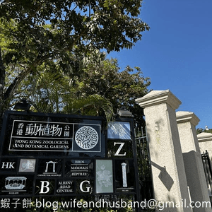 本地遊 | 香港動植物公園 | 必影打卡位蝴蝶蘭花廊