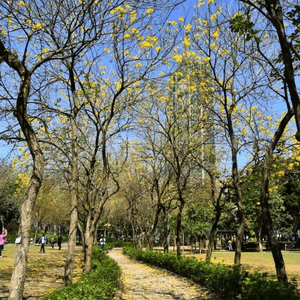 【攝影好去處】南昌公園、元洲村、荔枝角公園