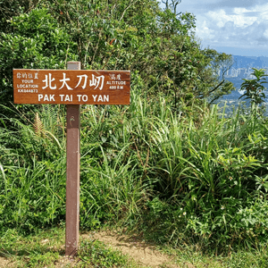 粉嶺車站至嘉道里農場