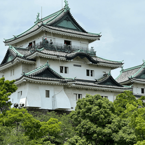 日本和歌山自由行•探訪歷史悠久的和歌山城