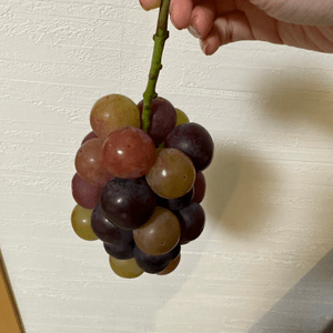 寶石💎般的葡萄🍇