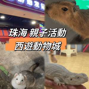 ｛港車北上｝珠海親子活動室內動物園