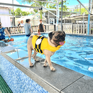 咁熱梗係去海洋公園水上樂園玩啦，?...